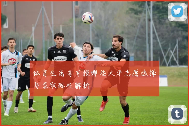 体育生高考可报哪些大学志愿选择与录取路径解析