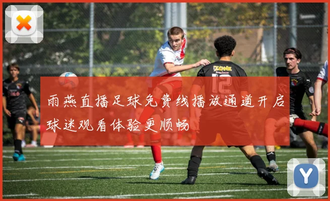 雨燕直播足球免费线播放通道开启球迷观看体验更顺畅