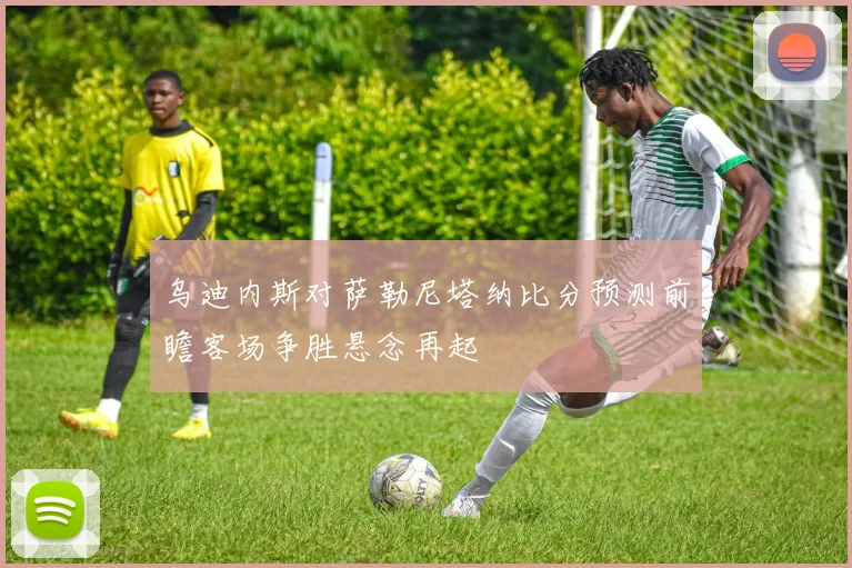 乌迪内斯对萨勒尼塔纳比分预测前瞻客场争胜悬念再起