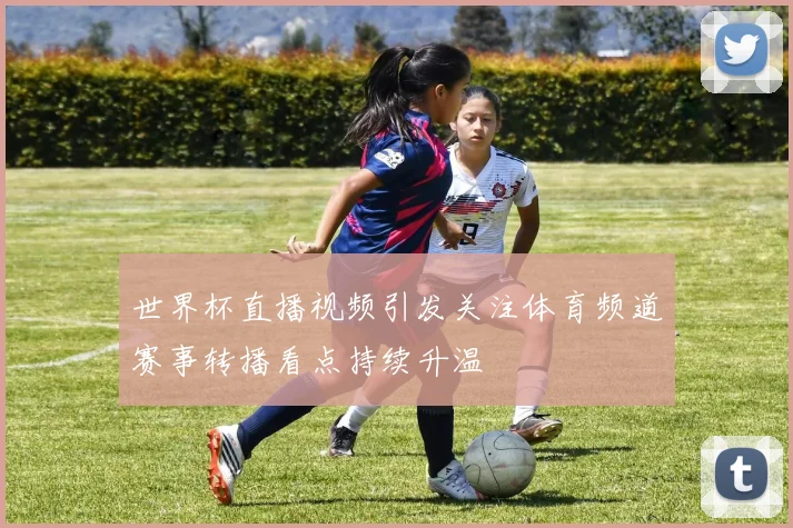世界杯直播视频引发关注体育频道赛事转播看点持续升温